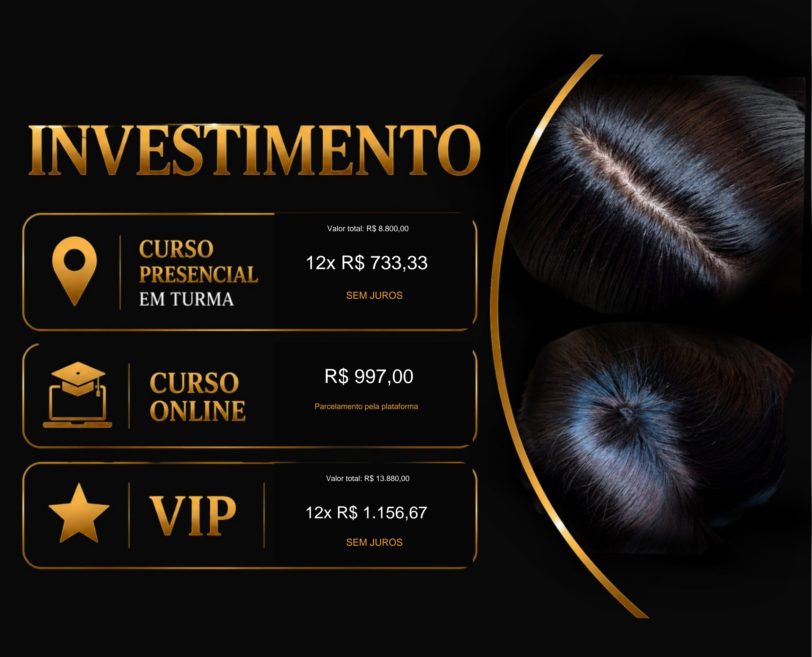O Mundo Secreto das Laces — Investimento
